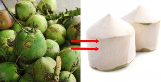 coconut peeling machine (1)