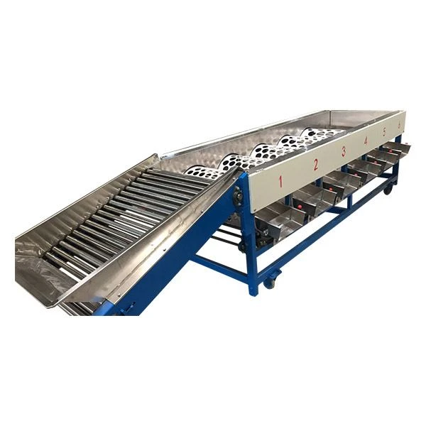 Tomato Size Sorting Machine