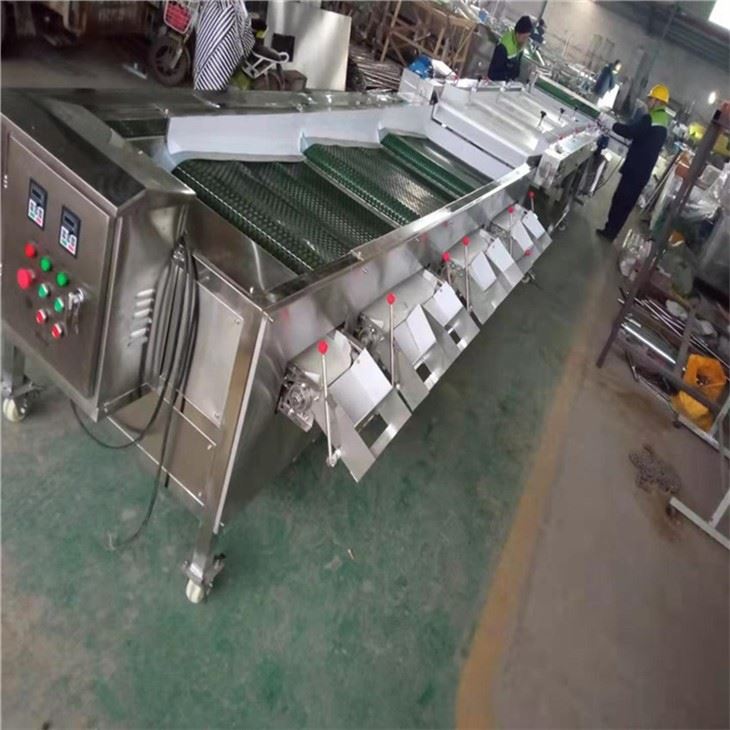 Automatic Blueberry Sorting Machine