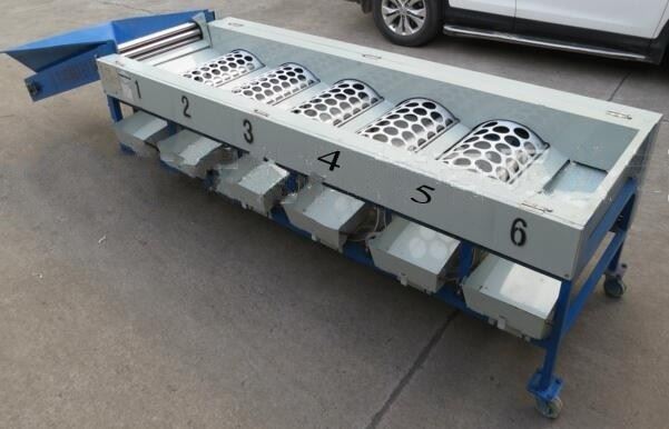 Peach Grading Machine