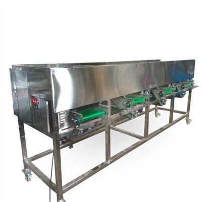 Máy phân loại hành tây tự động