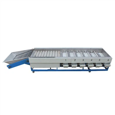 Máy phân loại bưởi
