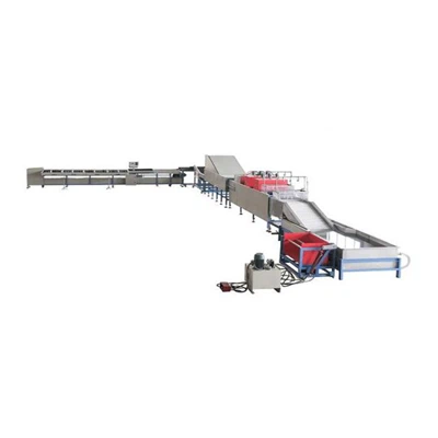 Dây chuyền phân loại sấy xoài tự động