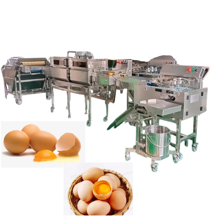 Dây chuyền sản xuất tách trứng