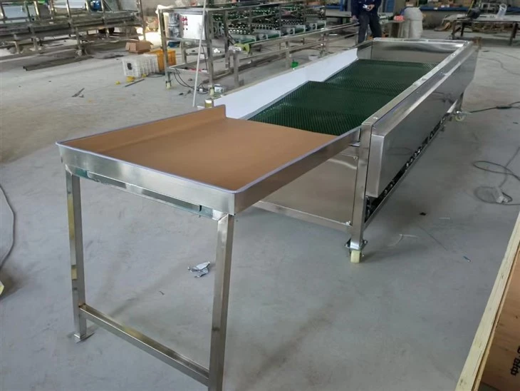 Fresh Grader Blueberry Sorting Machine
