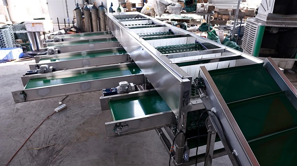 Mushroom Sorting Grading Machine price