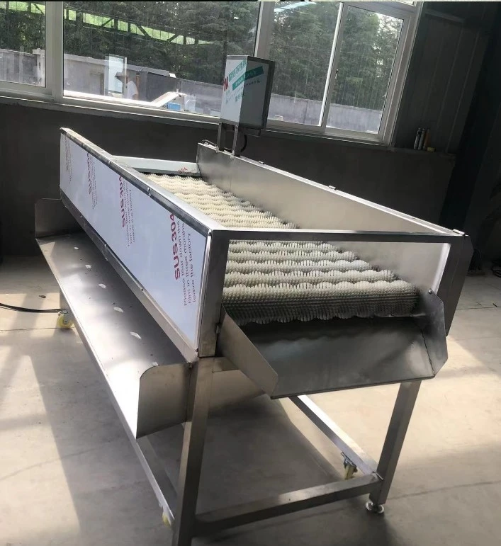 Parallel Brush Roller Apple Sea Food Washing Machine