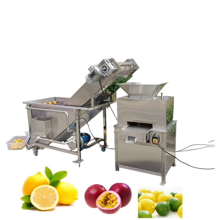 Máy ép trái cây chanh cam quýt chuyên nghiệp