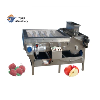 Máy ép trái cây kiểu dây đai