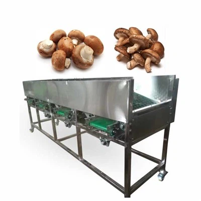 Máy phân loại kích thước nấm